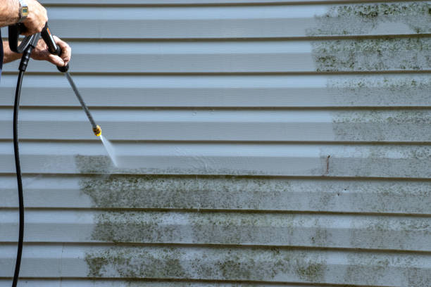 Best Weatherproofing and Sealing  in Townsend, MT