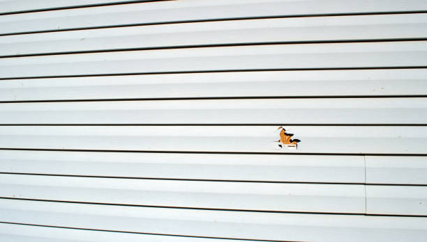 Best Custom Trim and Detailing for Siding  in Townsend, MT